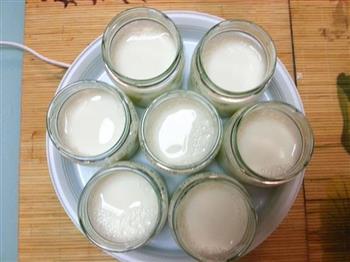 自制脱脂酸奶的做法图解7