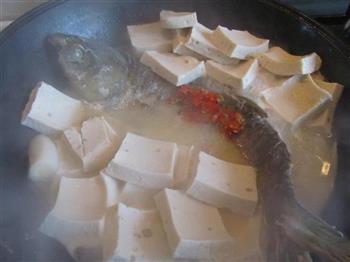 豆腐炖鱼的做法步骤9