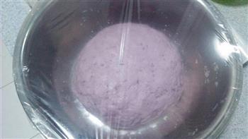牛奶紫薯馒头的做法图解6