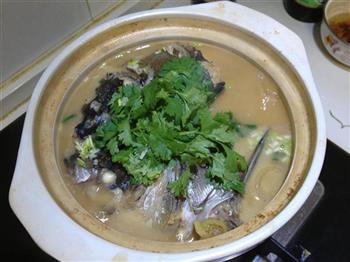 豆腐鱼头砂锅煲的做法步骤7