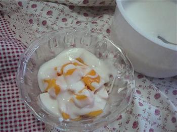 自制芒果酸奶的做法步骤3