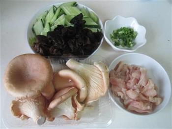 猪肚菇炒鸡片的做法步骤1