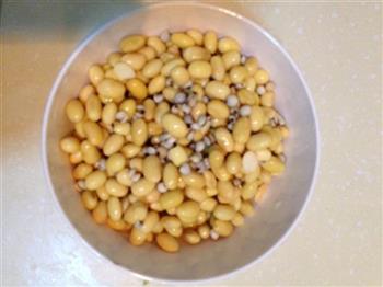 薏米枸杞红枣豆浆的做法步骤1