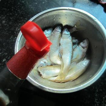 香芹辣椒粉烧鱼的做法步骤2