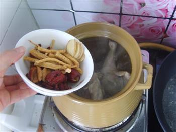 鲜灵芝煲鸡汤的做法步骤5