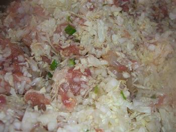 大白菜猪肉虾饺的做法步骤12