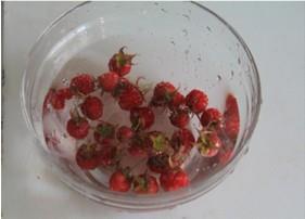 树莓果酱的做法步骤1