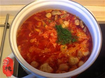 俄式红菜汤的做法图解10