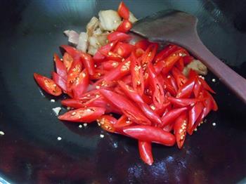 肉片炒辣椒的做法步骤6