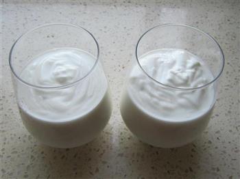 面包机版酸奶的做法图解12