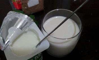 盆栽酸奶的做法图解3