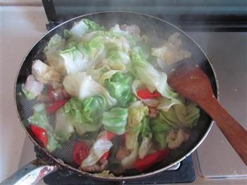 干锅圆白菜的做法步骤7