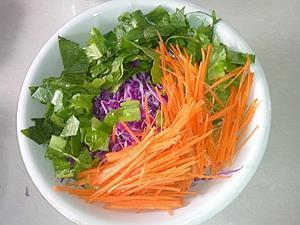 蔬菜沙拉春卷的做法图解5