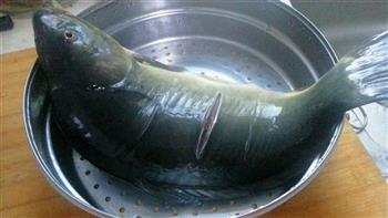 粤菜清蒸鱼的做法步骤2