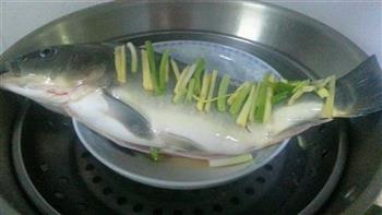 粤菜清蒸鱼的做法步骤3
