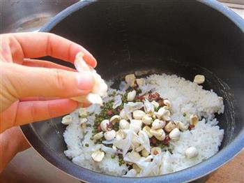 莲子百合绿豆粥的做法步骤6