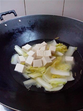 白菜炖豆腐的做法图解9