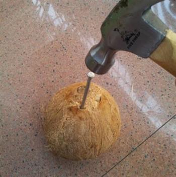 椰肉椰汁炖乳鸽的做法步骤2