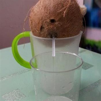 椰肉椰汁炖乳鸽的做法步骤5