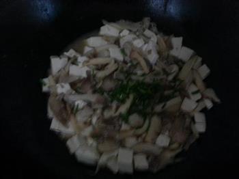 秀珍菇烩豆腐的做法步骤4