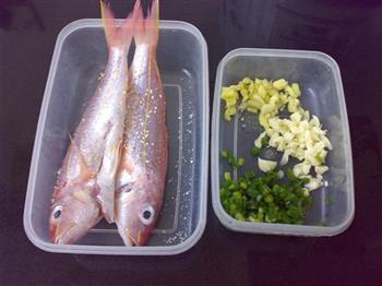 姜葱煎海鱼的做法步骤1
