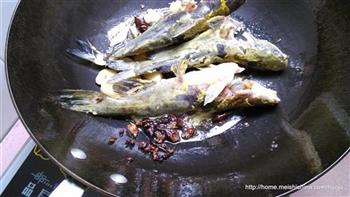 黄骨鱼炖豆腐的做法步骤4