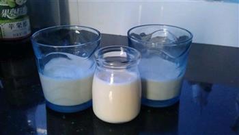 自制牛奶布丁的做法步骤3