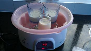 自制牛奶布丁的做法步骤4