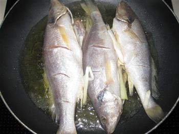 香煎黄花鱼的做法步骤6