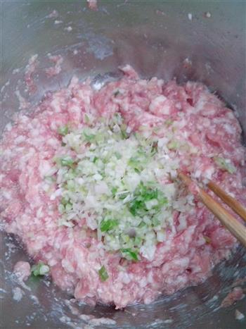 猪肉大葱煎饺的做法步骤2