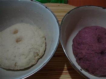 紫薯双色花卷的做法图解3