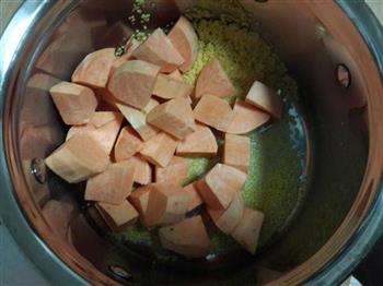 红薯小米粥的做法步骤4