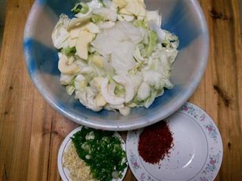 韩国什锦泡菜的做法图解5