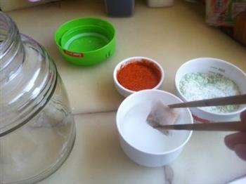 自制豆腐乳的做法步骤5