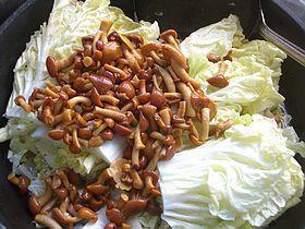 滑子菇炖白菜的做法图解5