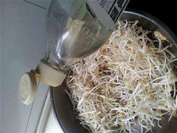 素炒豆芽的做法步骤5