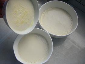 牛初乳奶豆腐的做法步骤4