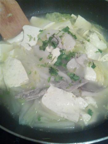 白菜炖豆腐的做法图解3