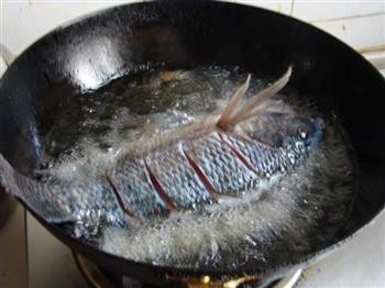 干烧鱼的做法步骤2