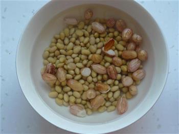 红枣桂圆豆浆的做法步骤2