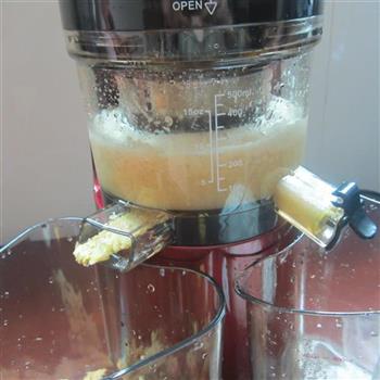 苹果黄瓜汁的做法步骤5