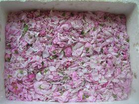 冰糖蜂蜜玫瑰酱的做法步骤1