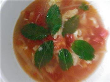 茄汁土豆浓汤的做法步骤9