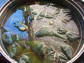板栗鲜肉粽的做法步骤10