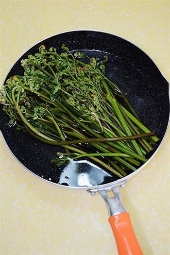 清炒蕨菜的做法步骤2