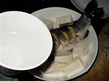 豆腐鲫鱼汤的做法步骤8