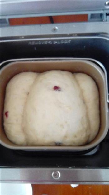 烫种蔓越莓吐司面包的做法步骤5