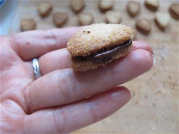 椰茸巧克力夹心饼干的做法步骤14