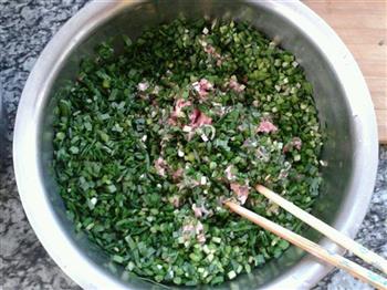 韭菜猪肉水饺的做法步骤7