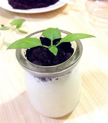 健康盆栽酸奶的做法步骤14